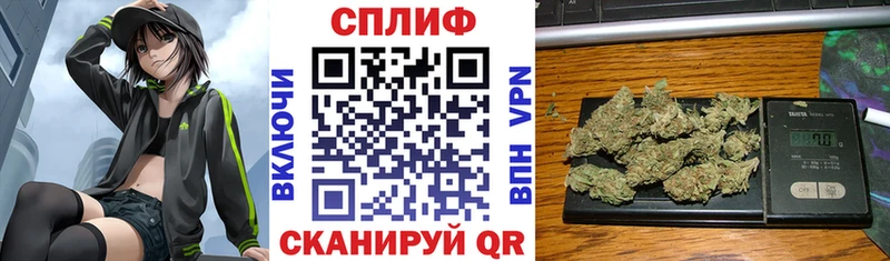 где купить наркоту Павловская Конопля THC 21%